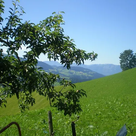 Schwendter-hof Apartment Westendorf