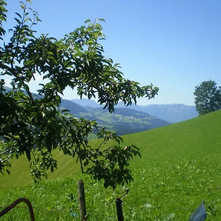 Schwendter-hof Apartment Westendorf