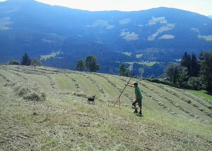 Apartment Schwendter-hof Westendorf